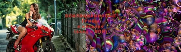 apvp Белоозёрский