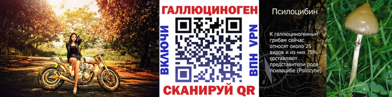 Галлюциногенные грибы MAGIC MUSHROOMS  Костерёво 